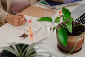 Foto: Reprodução/InfoEducação